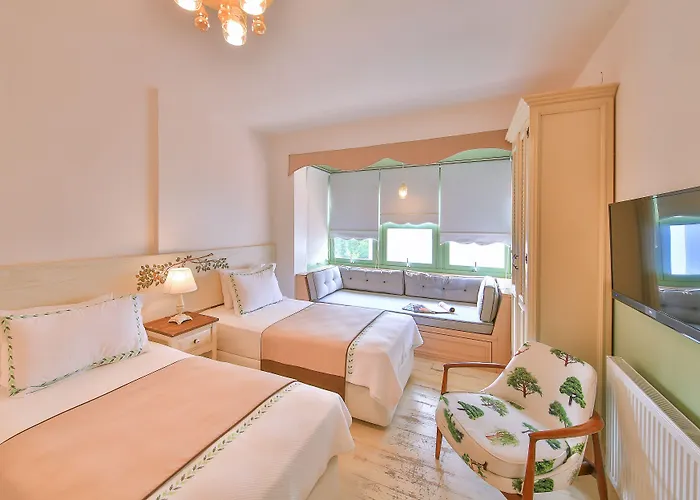 - Adult Only Отель